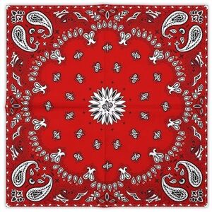 Red and White Paisley Bandana Classic Western Boho Square